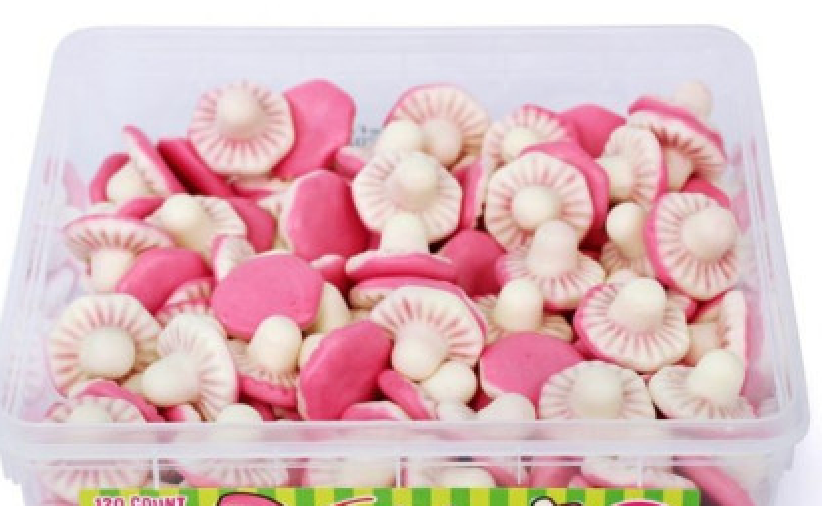 Giant Foam Mushrooms